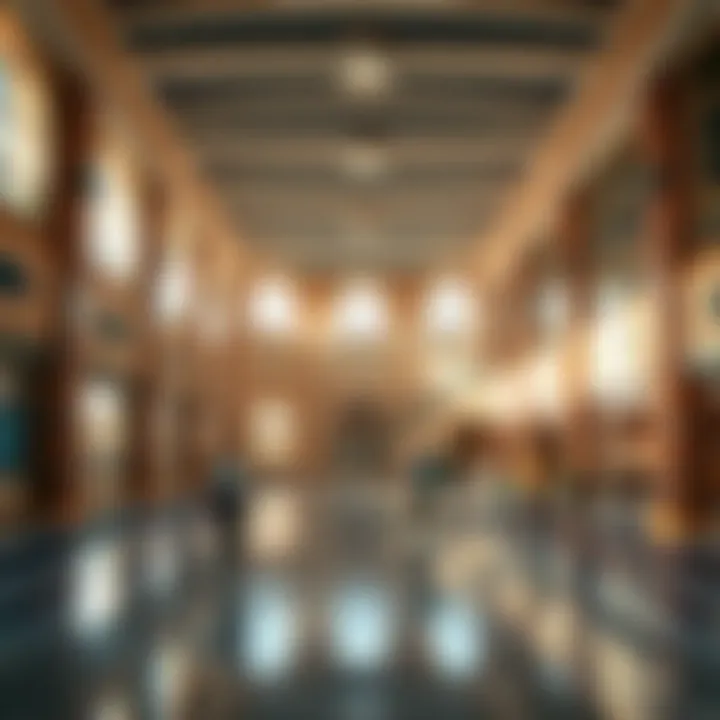 Magnificent An In-Depth Analysis of Public Schools in Dubai for Expats