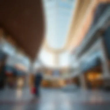Magnificent Exploring Carrefour at Oasis Mall: A Comprehensive Insight Magnificent Exploring Carrefour at Oasis Mall: A Comprehensive Insight