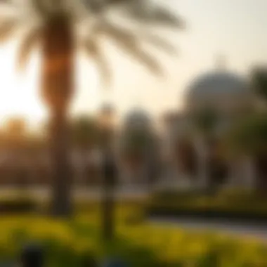 Magnificent Exploring Mushrif Park: A Comprehensive Guide to Dubai’s Natural Oasis