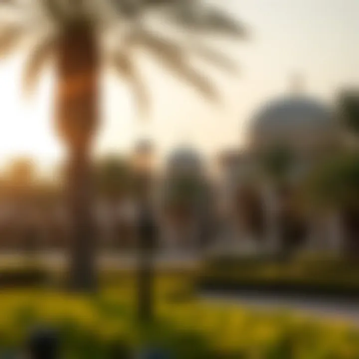 Magnificent Exploring Mushrif Park: A Comprehensive Guide to Dubai’s Natural Oasis