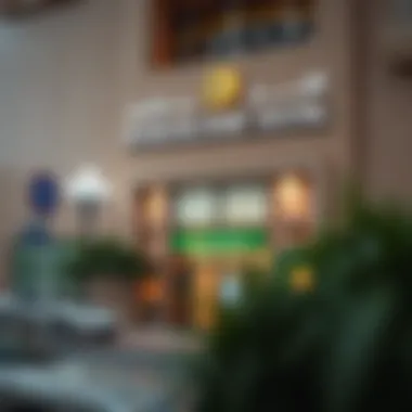 Magnificent Opening a Bank Account in Dubai Islamic Bank: A Detailed Guide Magnificent Opening a Bank Account in Dubai Islamic Bank: A Detailed Guide