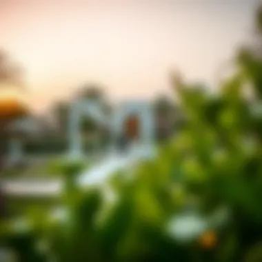 Magnificent Outdoor Wedding Venues in Dubai: A Comprehensive Guide