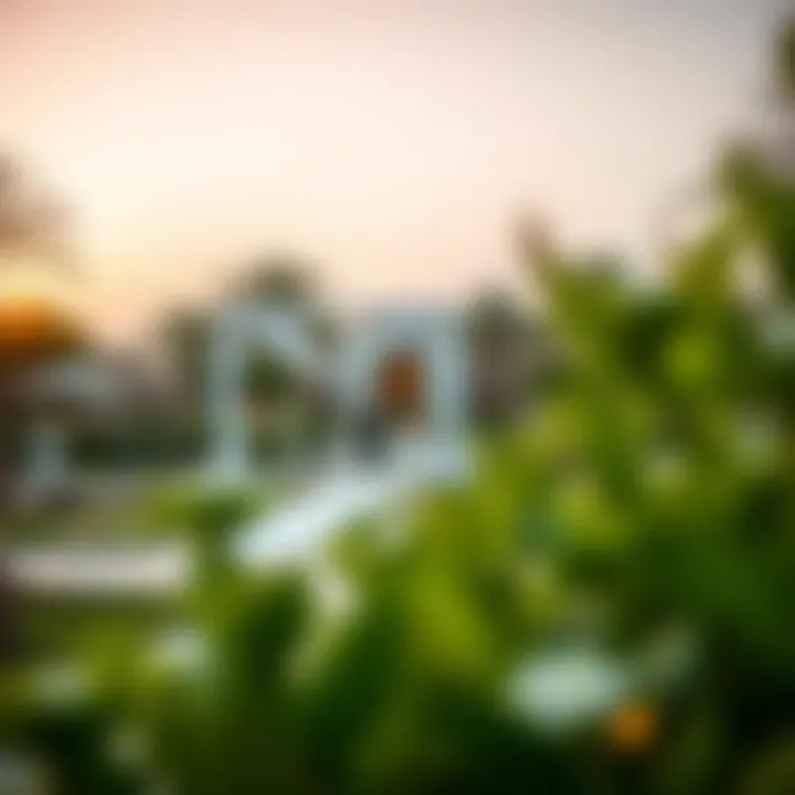 Magnificent Outdoor Wedding Venues in Dubai: A Comprehensive Guide