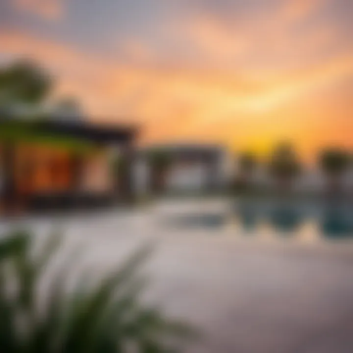 Investment potential analysis in Anya Arabian Ranches