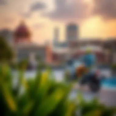 Surrounding views depicting the vibrant lifestyle near Burj Daman