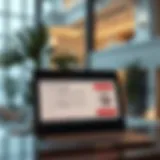 A digital interface for visa status check