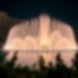 The breathtaking view of Dubai's musical fountain at night