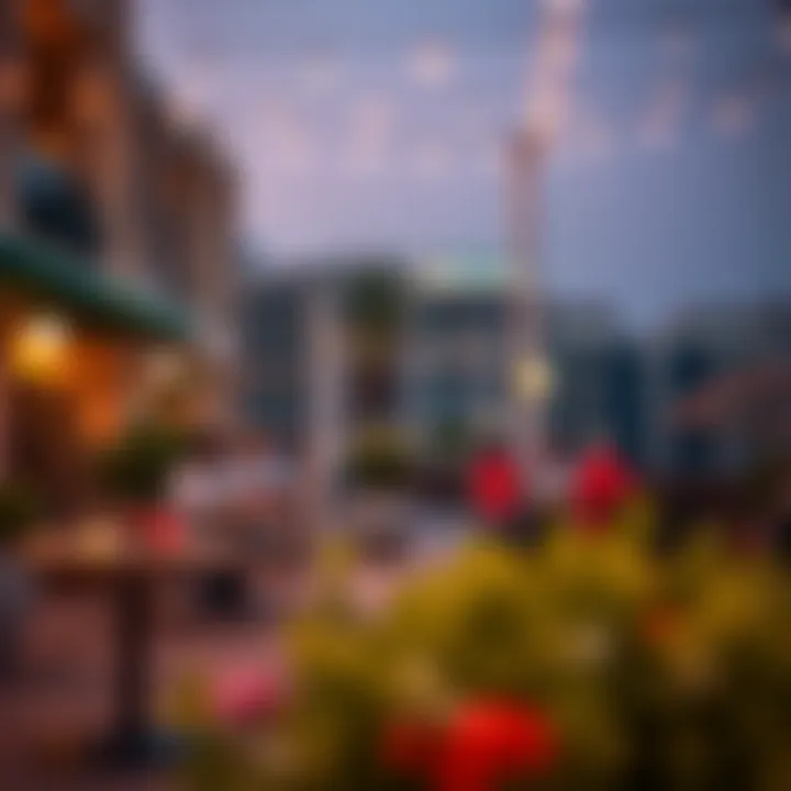 Vibrant lifestyle and social activities in Al Hamra