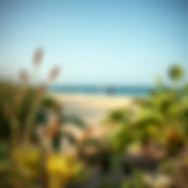 Local flora and fauna near the beach