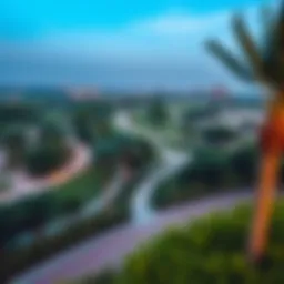 A panoramic view of Al Mushrif Park showcasing its lush greenery and walking paths