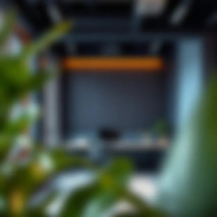 A peaceful corner in a DIFC co-working space, designed for focused work and productivity