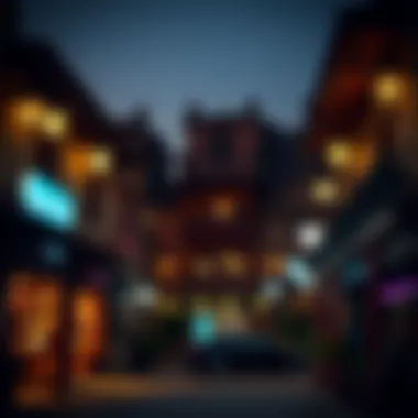 Cultural neighborhood showcasing traditional architecture at night