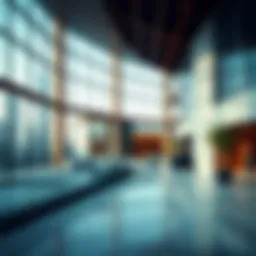 Exploring Hauser Dubai: A Comprehensive Insight into Real Estate Dynamics Introduction