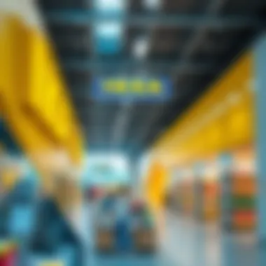 Architectural Design of IKEA Stores Architectural elements of an IKEA store