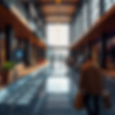 Lifestyle amenities and leisure activities in IMPZ