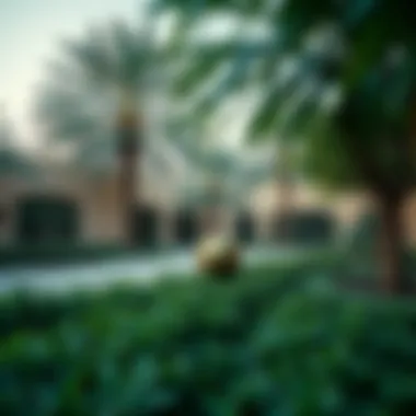 Lush green spaces in جاردن جلو promoting a serene lifestyle