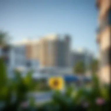 Exploring Jumeirah Park Community: A Comprehensive Overview Summary