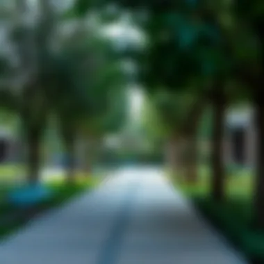 Beautiful park area in Karama highlighting local greenery.