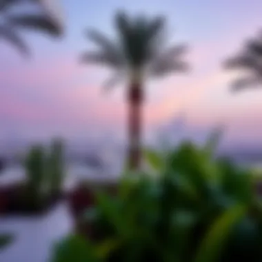 Scenic outdoor spaces of La Fontana