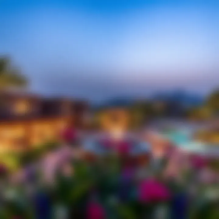 Community amenities in Damac Hills