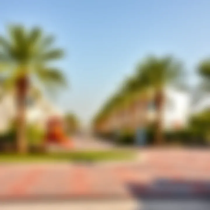 Outdoor recreational area in Mandi Motor City with green spaces and facilities