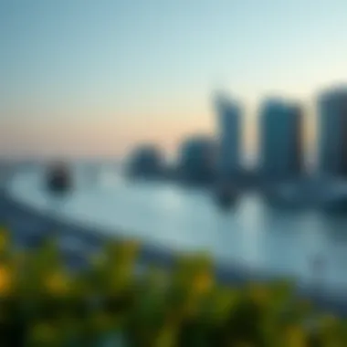 Exploring Marine Drive, Dubai: A Comprehensive Guide Summary