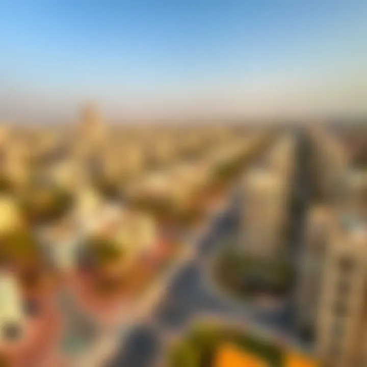 Aerial view highlighting Rashidiya's vibrant community