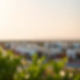 Scenic view of Rawdat Al Warqa community showcasing residential architecture