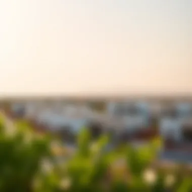 Scenic view of Rawdat Al Warqa community showcasing residential architecture