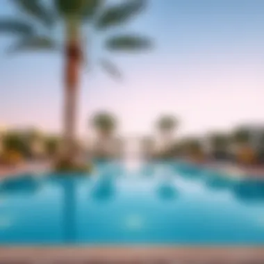 Outdoor swimming pool surrounded by palm trees in a high-end Dubai resort