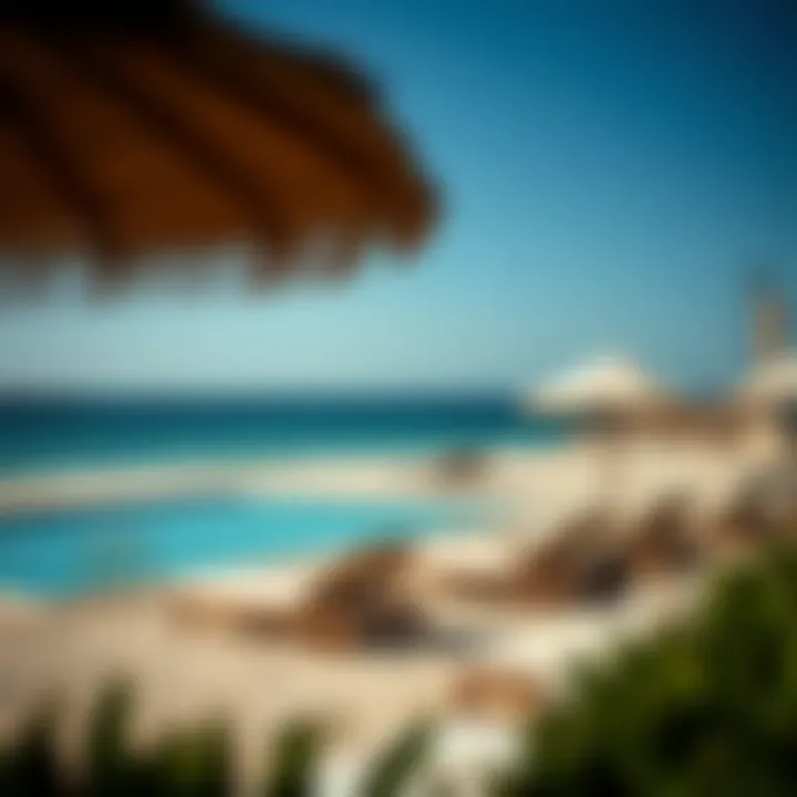 Beach facilities including sun loungers and umbrellas