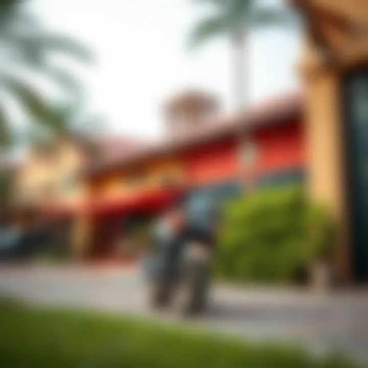 Outdoor Photography in International City A vibrant outdoor photo shoot in International City