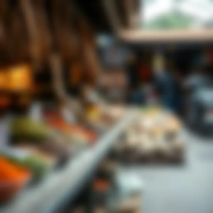 Exploring the Spice Market: A Tapestry of Flavors and Culture Summary