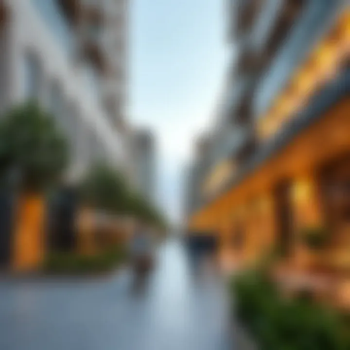 Community amenities in Karama district