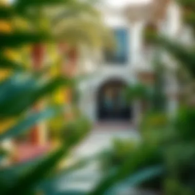 Beautiful garden area of a villa