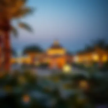 Beautifully lit Dubai park during the winter evening