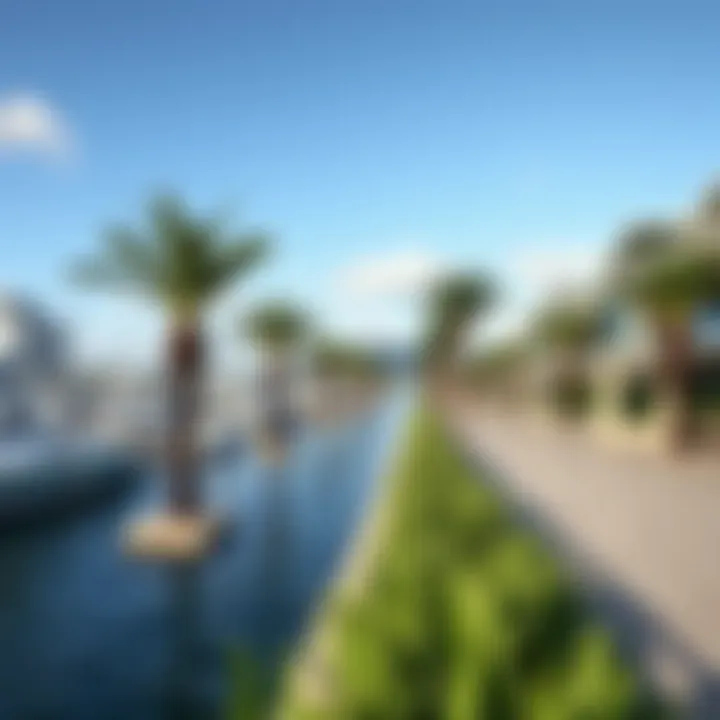 Serene waterfront promenade lined with palm trees and leisure facilities at Wyndham Marina