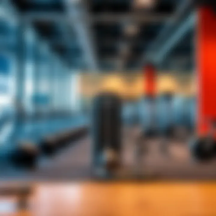 Modern Fitness Equipment State-of-the-art equipment available at Fit Gym