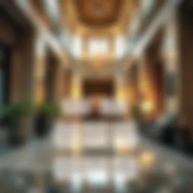 Freelancer Visa Regulations Graphic representation of visa options and regulations for freelancers in Dubai