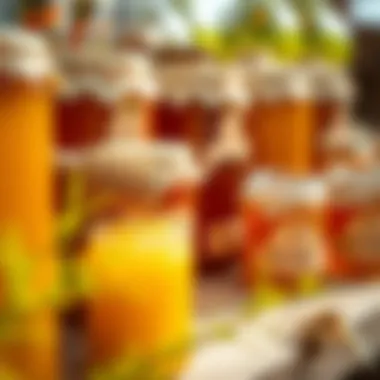 Organic Honey Collection from Hatta Honey Bee Garden A collection of jars filled with organic honey produced in the region