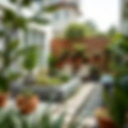 Innovative Home Garden Ideas for Urban Spaces Introduction