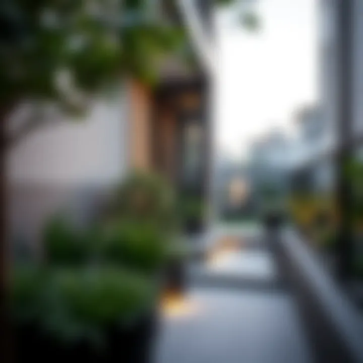 Innovative Home Garden Ideas for Urban Spaces Summary