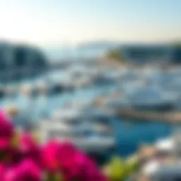 Stunning view of the marina with luxury yachts