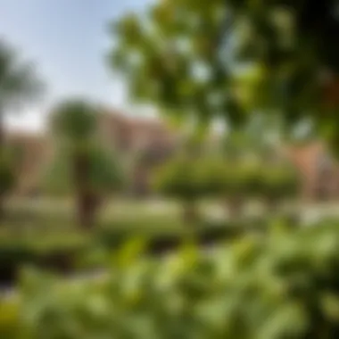 Lush Residential Areas in Motor City Residential community within Motor City featuring lush greenery