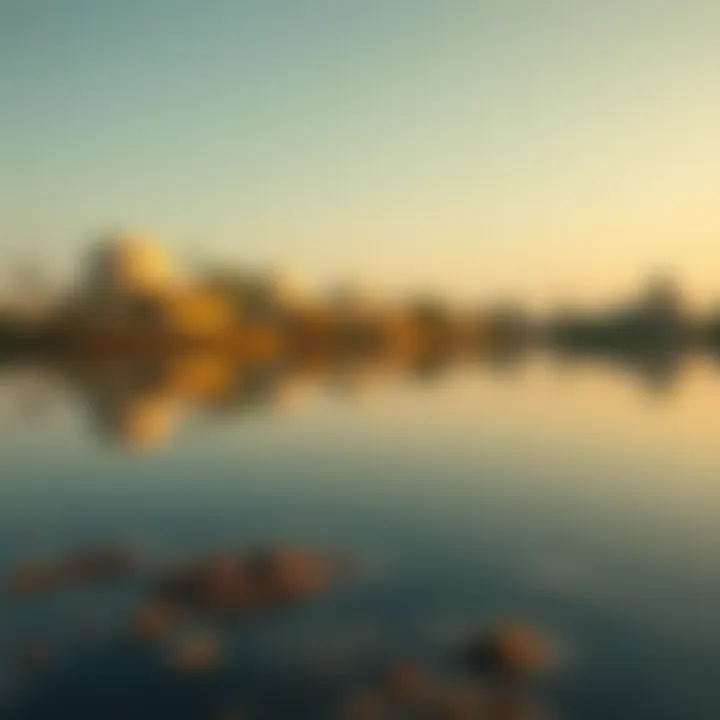 Ecological features of Mubazzarah Lake reflected in the water
