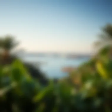 Scenic view of Mubazzarah Lake surrounded by lush greenery