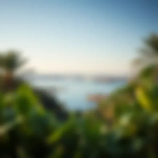 Breathtaking Landscape of Mubazzarah Lake Scenic view of Mubazzarah Lake surrounded by lush greenery