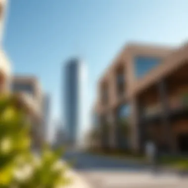Notable Navigating the U.S. Visa Application Process from the UAE