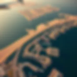 Aerial view of Palm Jebel Ali development
