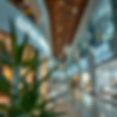 High-End Boutiques at Royal Rest Oasis Mall Diverse shopping experience with high-end boutiques